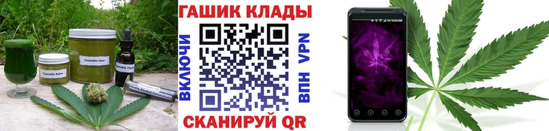 Купить где  Зима  Canna-Cookies конопля 