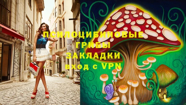 ешки Алексин