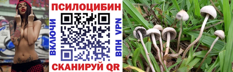 Купить закладки Зима Галлюциногенные грибы ЛСД